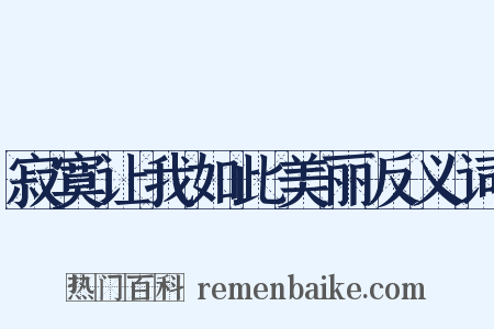 寂寞让我如此美丽反义词是什么意思的图片